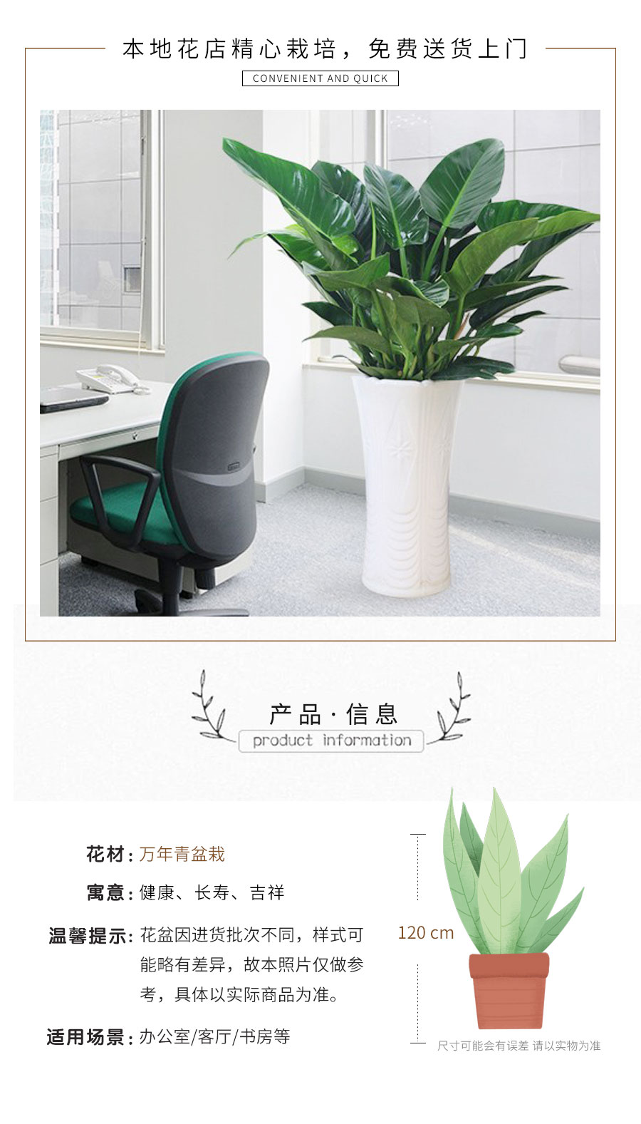 万年青盆栽 万年青一盆 订花乐